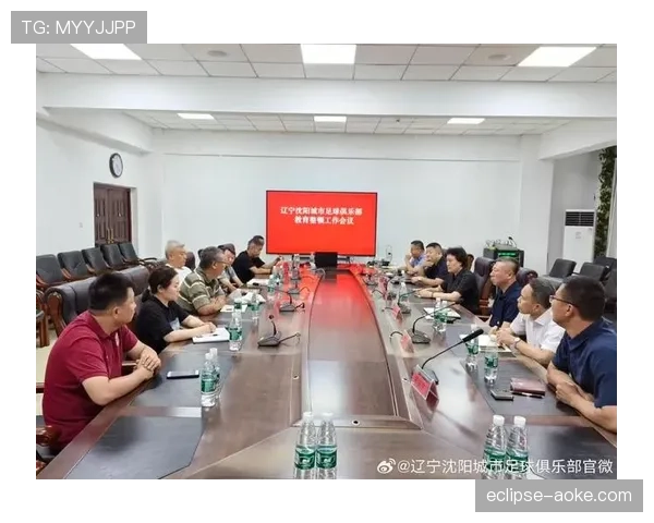 比赛暂停期间的规则适用与裁判判罚依据